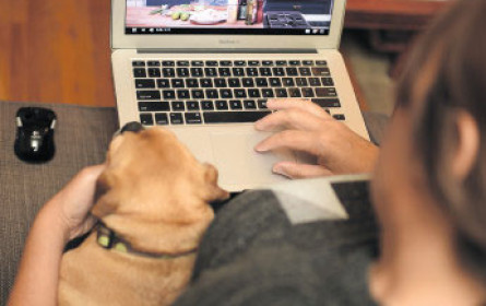 Nur wenige österreichische YouTube-Stars kennzeichnen Werbung