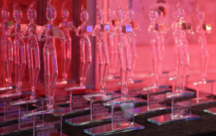 In Search for Excellence