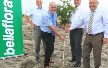 bellaflora wächst in Eisenstadt