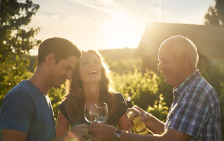 Das Burgenland im Wiener MuseumsQuartier erleben