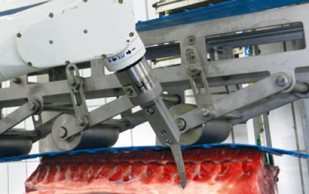 Kollege Roboter im Handel