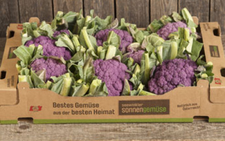 Blauer Karfiol, Romanesco und heimische Süßkartoffeln