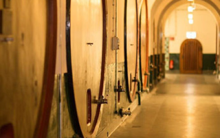 Neue Henkell-Sektmanufaktur als Kompetenzzentrum