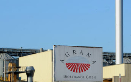Agrana: Stärke/Ethanol-Ergebnis pushte Gewinn im ersten Halbjahr