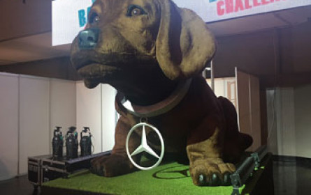 Wackeldackel mit Mercedes Stern-Halsband sorgt für Furore