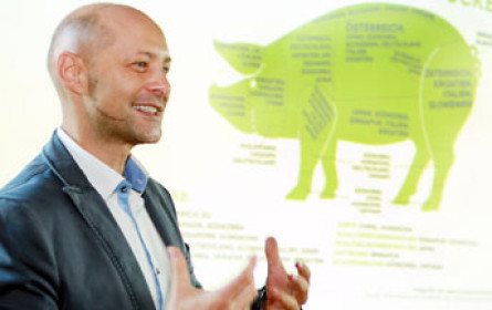 Filmreihe über Schweinefleischproduktion