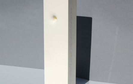 Prälat-Ungar-Preise für Journalisten verliehen