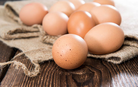 Rückruf bei Toni’s Freilandeiern