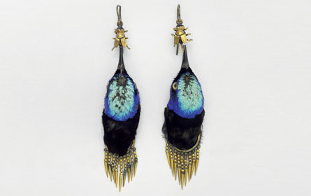 Design aus und von der Natur