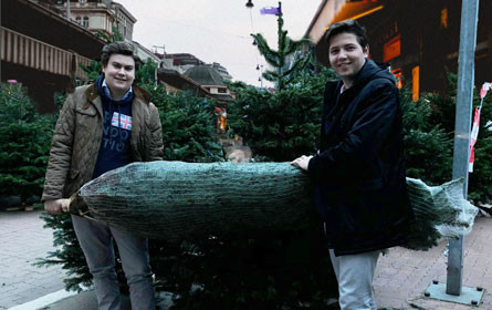 Start-up Taskrookie liefert Christbäume