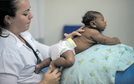Zika-Virus: Impfung kommt
