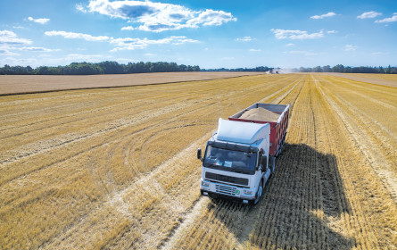 Agrarexporte auf hohem Niveau