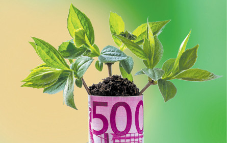 Nachhaltige Dividenden