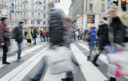 LEH und DFH retten Handelsbilanz 2016