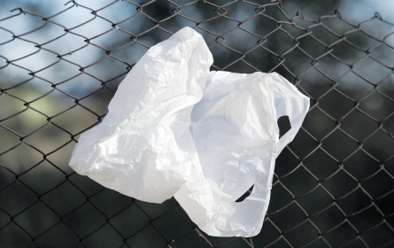Tschüss Plastiksackerl!