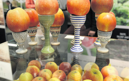 Biologische Erlebniswelt 