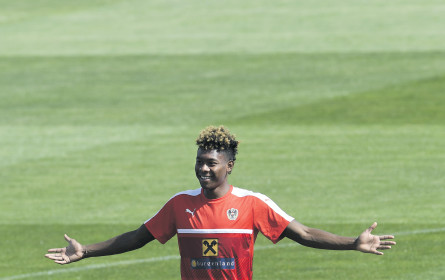 Das sind Österreichs Werbelieblinge