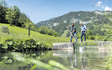 Fitte Fische aus Mariazell