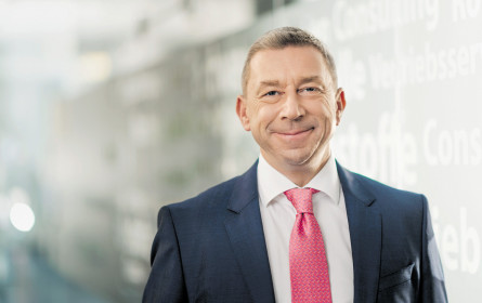 Schlauer InsurTech-Fuchs