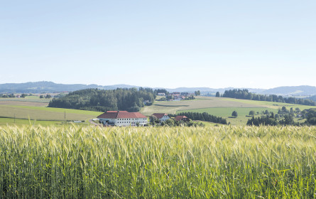 Bio-Landwirtschaft auf dem Vormarsch 