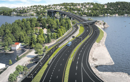 Die Brückenpioniere