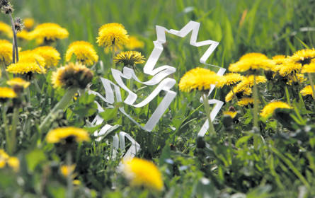 Einreichen für den Green Panther