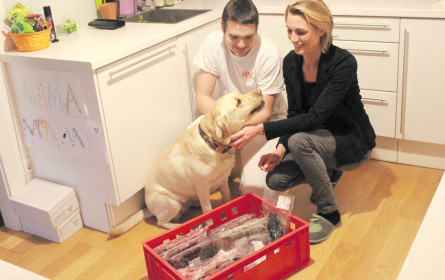 Der allergische Hund