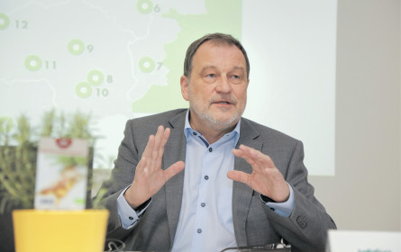 bellaflora: Der Giftkeule die Wucht wegnehmen