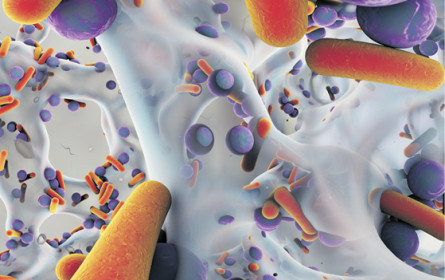 Warnung vor Resistenzen