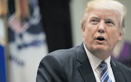 Trump bremst Industrie