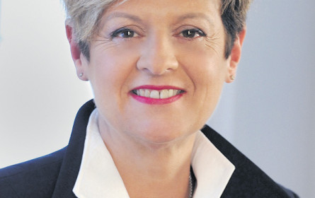 Neu bei Reichl & Partner 