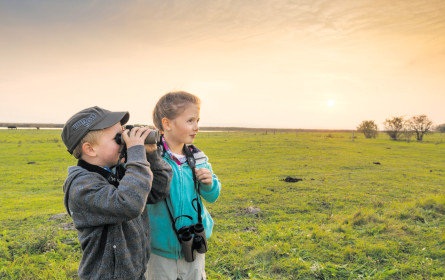 Servus, Üdv!* Pannonien erleben
