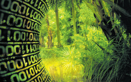 Mit dem DMVÖ durch den Daten-Dschungel