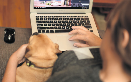 Transfer of Value: die große Wertediskussion