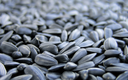 Bio-Importe außer Kontrolle?