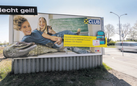 Epamedia: Hecht im Plakat-Teich