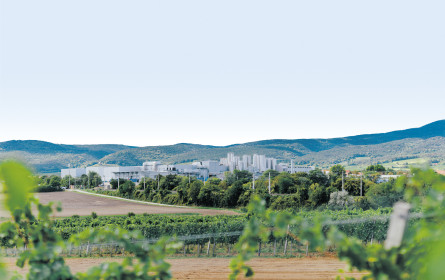 Weiße Weste: Nöm acts neutral