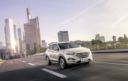 „Wir wollen heuer das Vorjahr übertreffen”