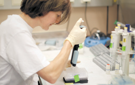 Quartalsberichte: Pharma wächst