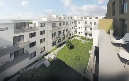 Korneuburg blüht auf