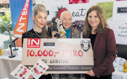 Es gibt nichts Gutes …