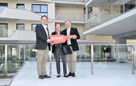 374 „frische” Mio.