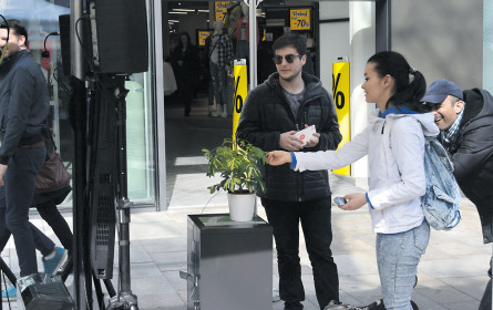 Von sprechenden Pflanzen …