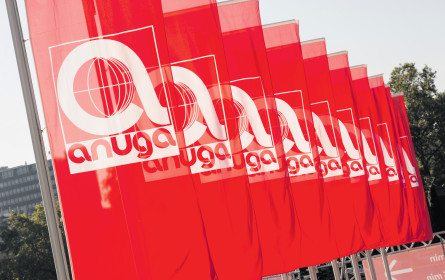 Global Playground für Lebensmittel