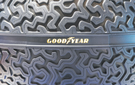 Here are the nominees