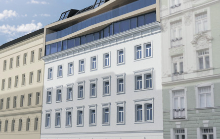 Rekordjahr für die Zinshausprofis