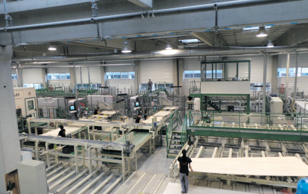 Der bemerkenswerte Erfolg der Holzindustrie