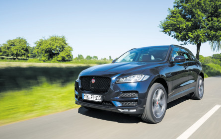 Neuer Ingenium-Benziner