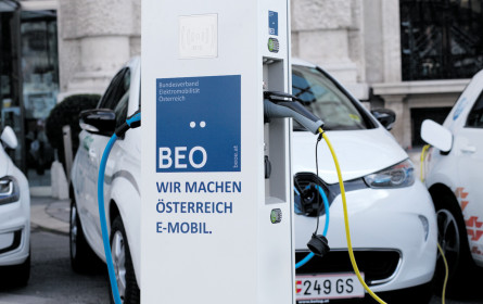 BEÖ: Ziegler folgt Halasz