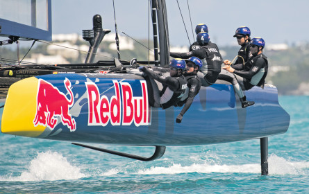 Österreichs Aushängeschilder